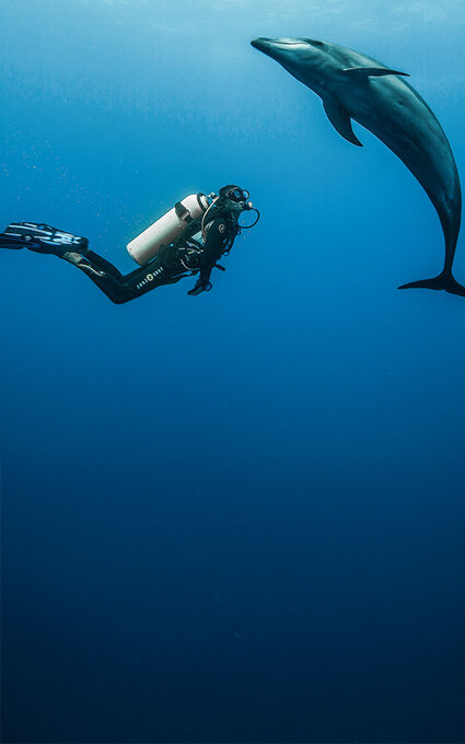 D-0524-BTH3497-31jan24-Rangiroa.jpg Air Tahiti Nui dauphin diving BThouard